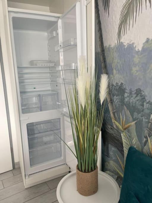 Appart Frontignan Sur La Plage, Piscine, Wifi, Tv, Netflix Eksteriør billede