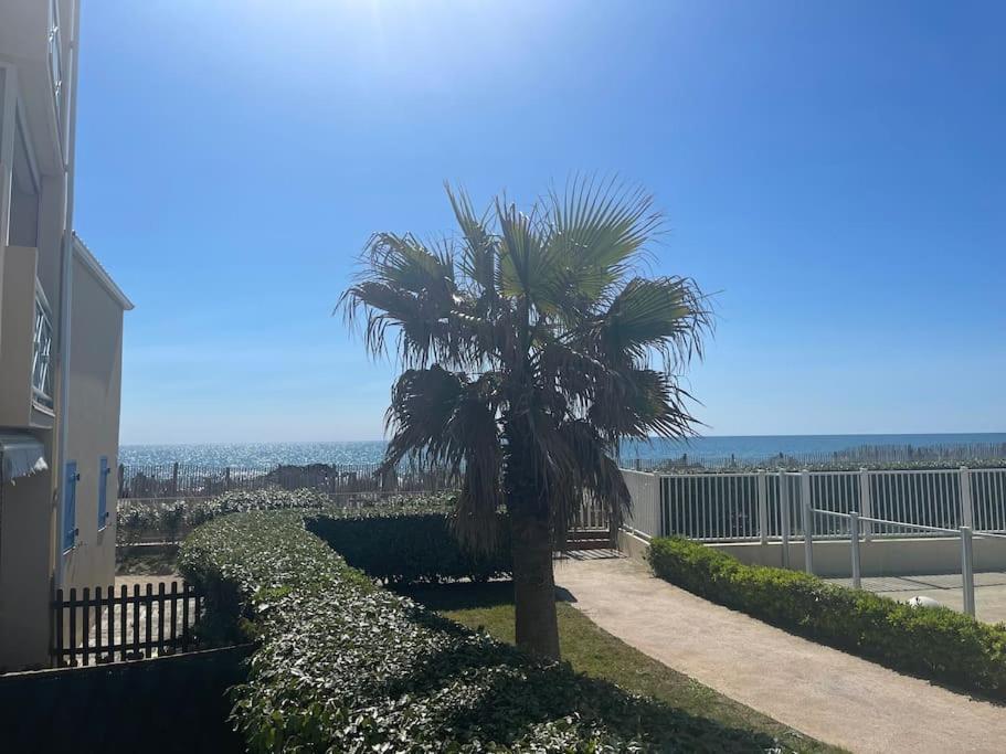 Appart Frontignan Sur La Plage, Piscine, Wifi, Tv, Netflix Eksteriør billede